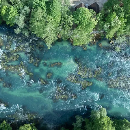 Apartment Olympic House