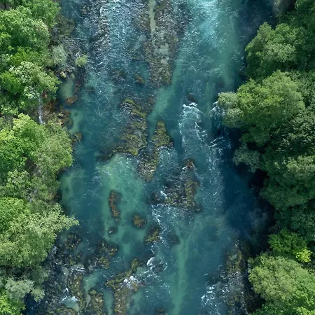 Olympic House Apartment