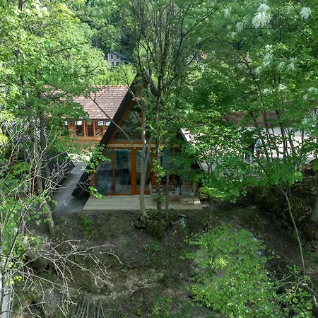 Olympic House * Lilaci