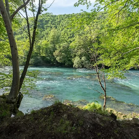 Olympic House Apartment *