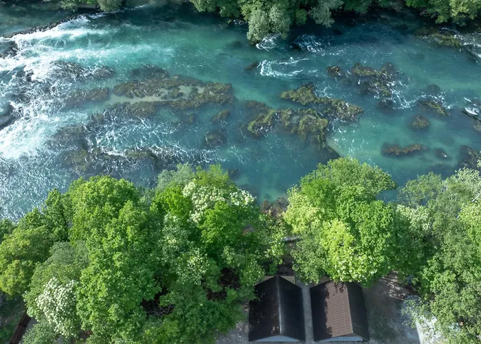 Olympic House * Lilaci