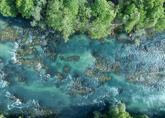 公寓 Olympic House