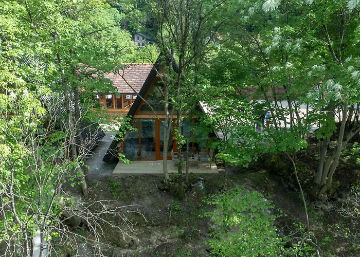 Olympic House * Lilaci