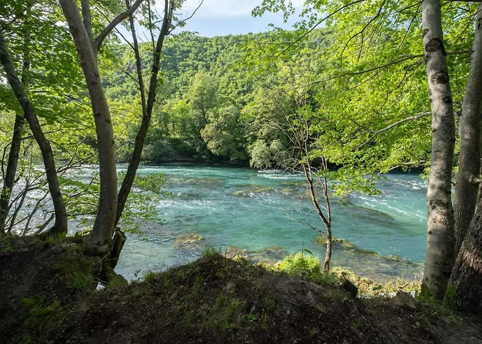 Olympic House 公寓 *